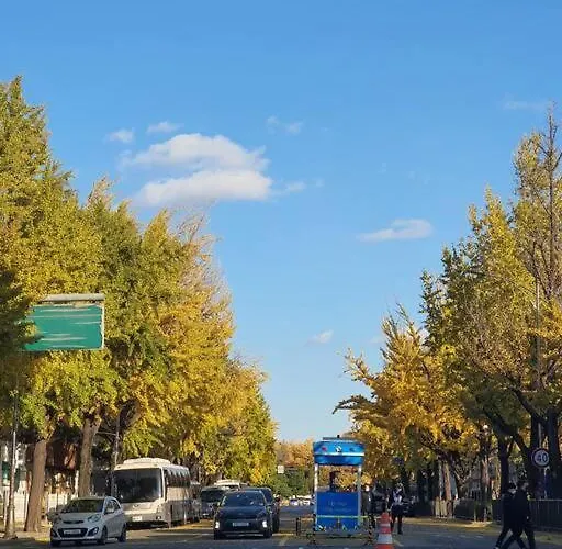 Nouhastay Seoel